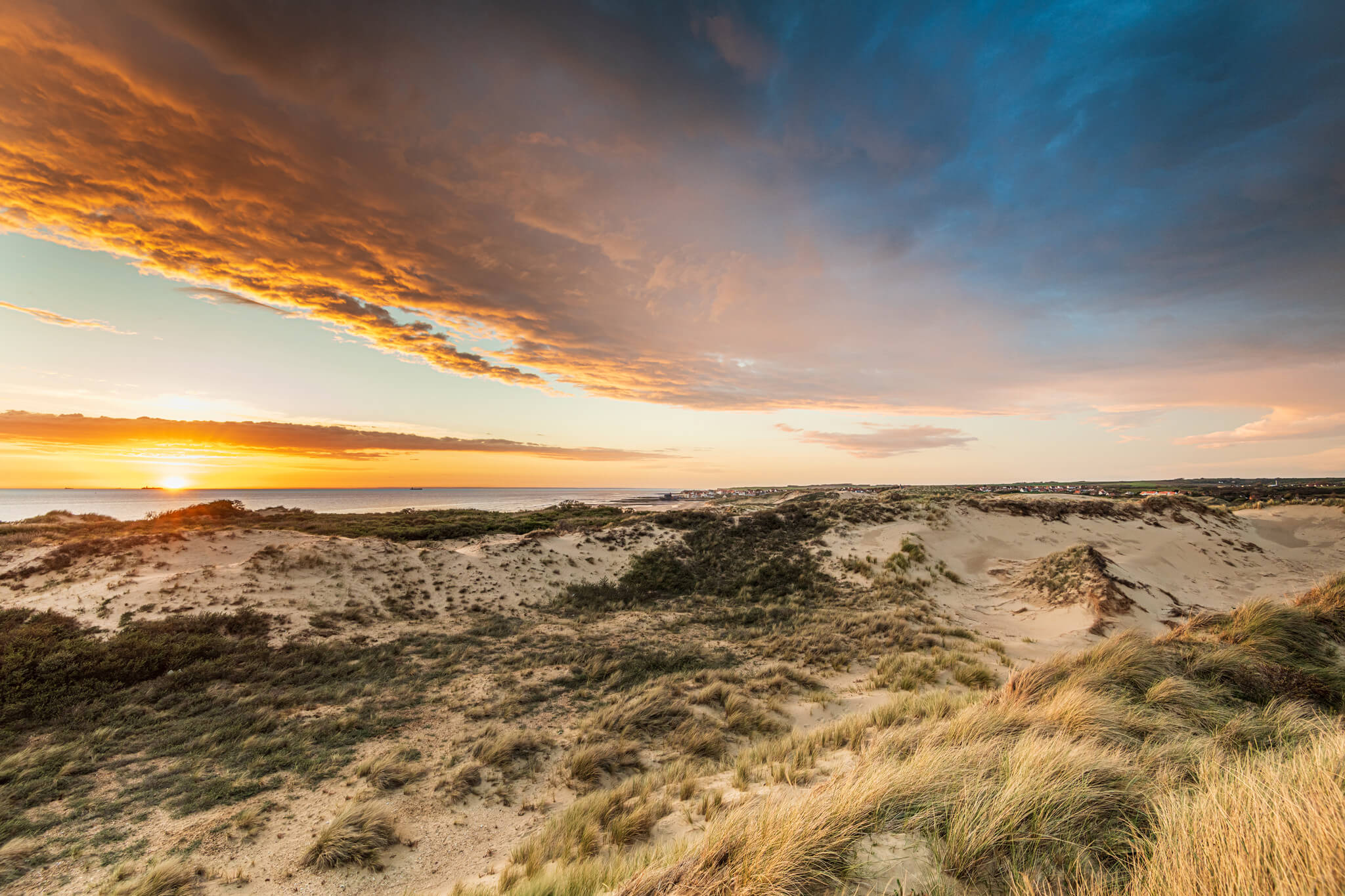 Panorama des dunes du littoral